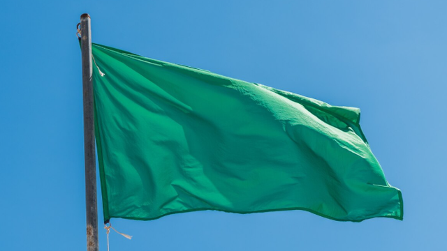 bai-viet/green-flag-la-gi-dau-hieu-nhan-biet-mot-moi-quan-he-lanh-manh.html