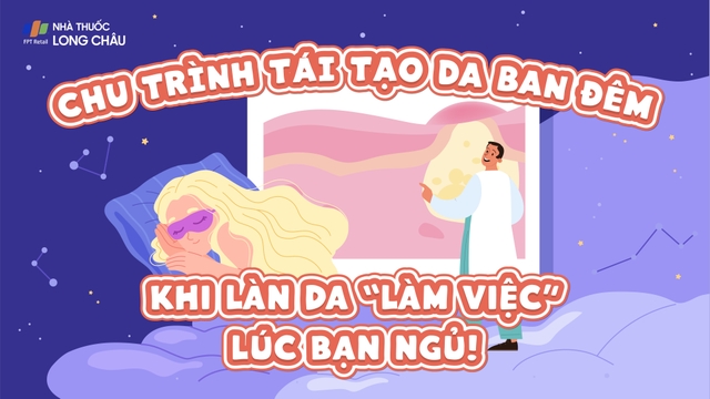 bai-viet/infographic-chu-trinh-tai-tao-da-ban-dem-khi-lan-da-lam-viec-luc-ban-ngu.html