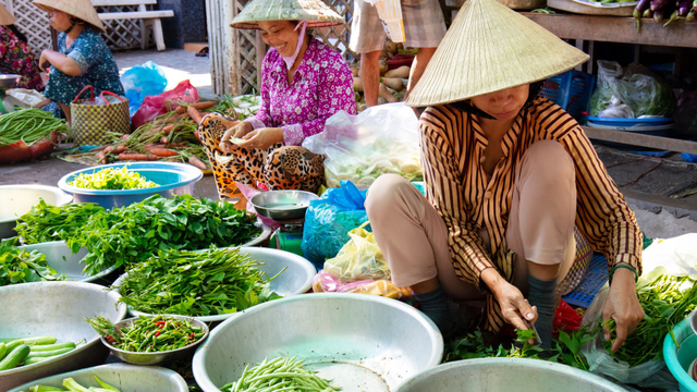 bai-viet/3-loai-rau-thanh-loc-duong-ruot-ban-day-cho-viet-che-bien-thanh-nhieu-mon-ngon.html