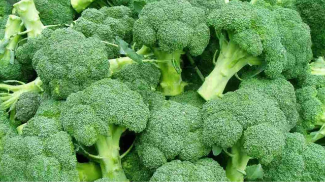 bai-viet/5-loai-rau-giau-magie-giup-lam-dep-da.html