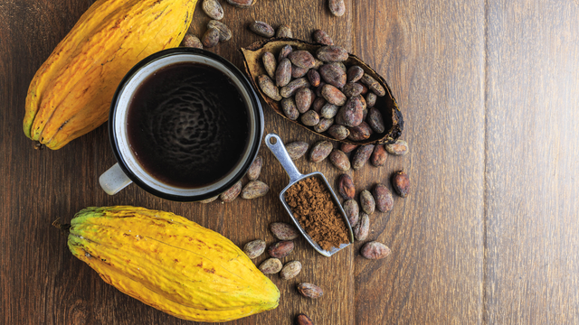 bai-viet/cacao-co-caffeine-khong-giai-dap-chi-tiet-tu-chuyen-gia.html