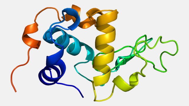 bai-viet/alpha-lactalbumin-la-gi-cong-dung-cua-alpha-lactalbumin.html