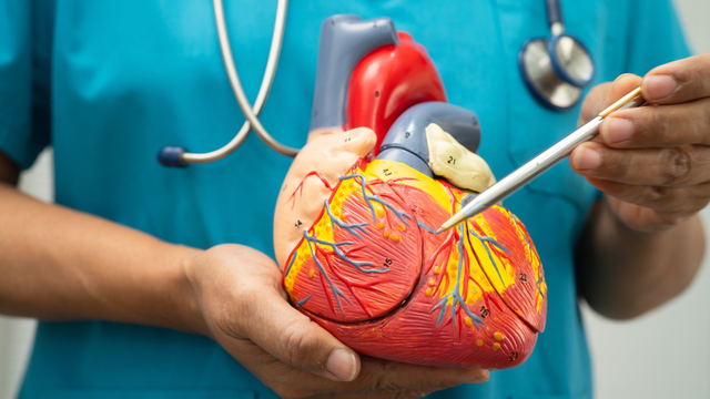 bai-viet/mo-tim-bam-sinh-o-dau-uy-tin-goi-y-cac-benh-vien-uy-tin-tai-viet-nam.html