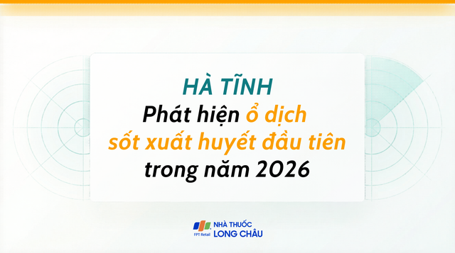 bai-viet/bao-dong-ha-tinh-ghi-nhan-o-dich-sot-xuat-huyet-dau-tien-trong-nam-2026-10009.html