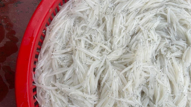 bai-viet/ca-thuy-tinh-thuc-pham-giau-dam-it-beo-tot-cho-suc-khoe.html