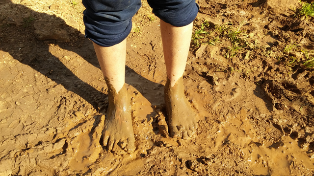 bai-viet/canh-bao-benh-sot-dat-thai-lan-benh-nhiem-khuan-tu-bun-dat-co-the-dien-tien-rat-nhanh-10009.html