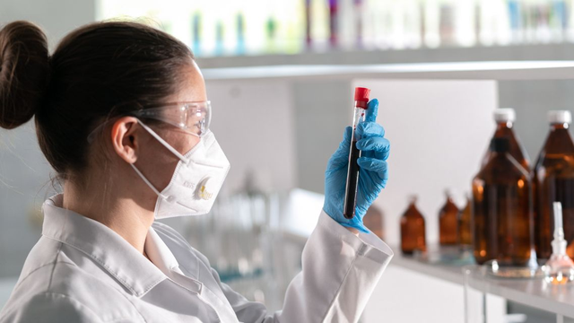 bai-viet/cay-mau-bao-lau-co-ket-qua-thoi-gian-cho-va-nhung-dieu-can-biet.html