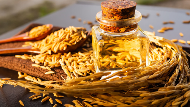 bai-viet/dau-gao-lut-co-chien-duoc-khong-cach-su-dung-an-toan-cho-suc-khoe-it-ai-biet.html