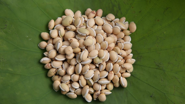 bai-viet/dau-van-co-tac-dung-gi-gia-tri-dinh-duong-va-loi-ich-suc-khoe.html
