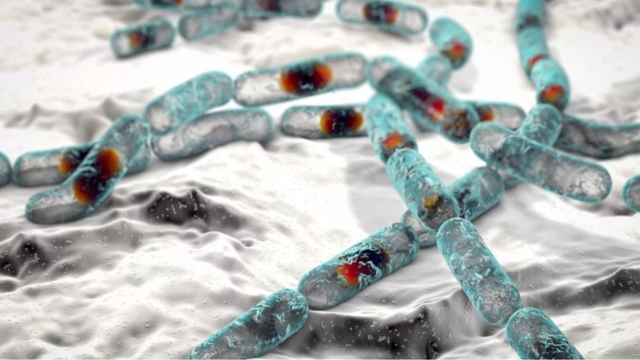 bai-viet/doc-to-cereulide-la-gi-muc-do-nguy-hiem-ra-sao.html