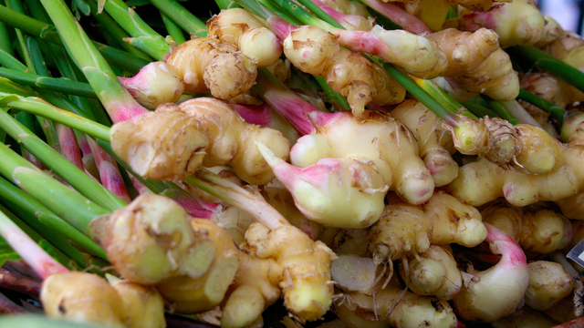 bai-viet/gung-non-cong-dung-cach-dung-va-bao-quan-dung-cach.html
