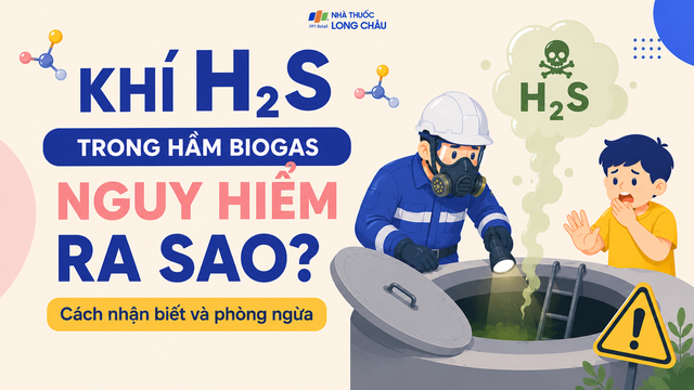 bai-viet/khi-h2s-trong-ham-biogas-nguy-hiem-ra-sao-cach-nhan-biet-va-phong-ngua-10009.html
