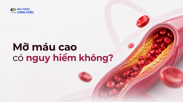 bai-viet/mo-mau-cao-nguy-hiem-nhu-the-nao-dieu-nhieu-nguoi-chi-phat-hien-sau-nhoi-mau-co-tim-hoac-dot-quy.html