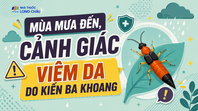 bai-viet/mua-mua-de-gap-kien-ba-khoang-ban-da-biet-cach-xu-tri-dung-10009.html
