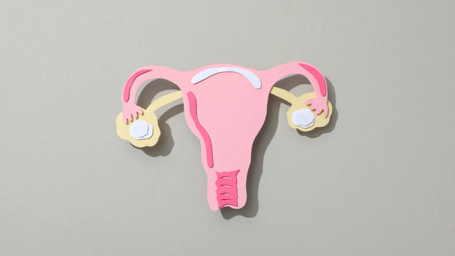 bai-viet/niem-mac-tu-cung-day-12mm-co-thai-khong-nhung-dieu-me-can-biet.html