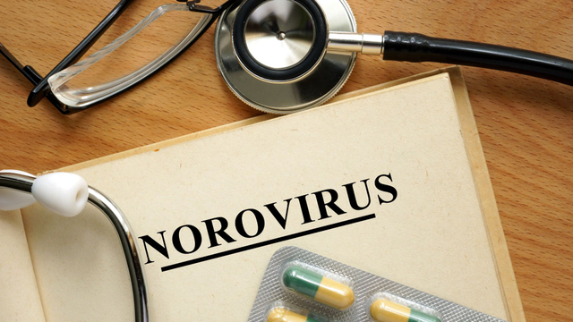 bai-viet/norovirus-bung-phat-hon-100-nguoi-da-nhiem-benh-tren-du-thuyen-my.html