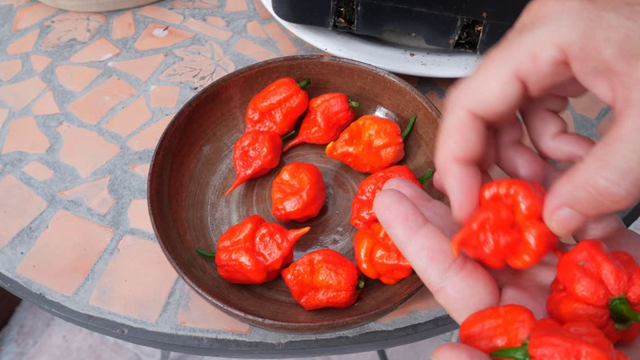 bai-viet/ot-carolina-muc-do-cay-loi-ich-suc-khoe-va-nhung-rui-ro-can-biet.html