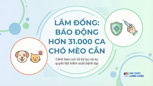 bai-viet/so-ca-bi-cho-meo-can-vuot-31-000-lam-dong-tang-toc-kiem-soat-benh-dai-10009.html