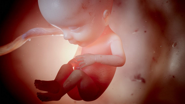 bai-viet/tai-sao-thai-nhi-bi-than-u-nuoc-nguyen-nhan-chan-doan-va-cham-soc.html