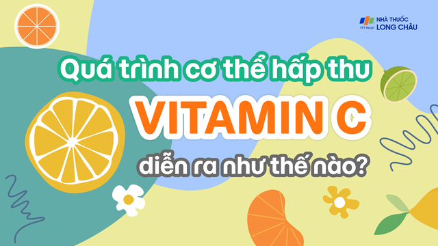 bai-viet/infographic-qua-trinh-co-the-hap-thu-vitamin-c-dien-ra-nhu-the-nao.html