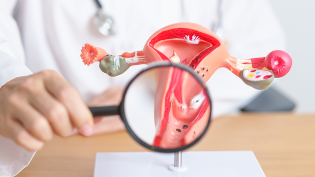 bai-viet/ung-thu-co-tu-cung-o-do-tuoi-nao-thuong-gap-tam-soat-ung-thu-theo-do-tuoi.html