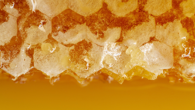 bai-viet/vi-sao-mat-ong-dong-duong.html