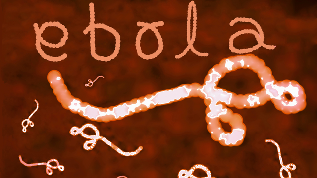 bai-viet/virus-ebola-lay-qua-duong-nao-con-duong-lay-nhiem-va-cach-phong.html