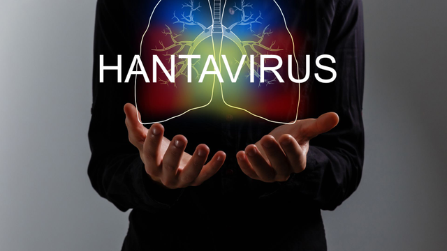 bai-viet/virus-hanta-lay-nhu-the-nao-cach-bao-ve-ban-than-va-gia-dinh.html