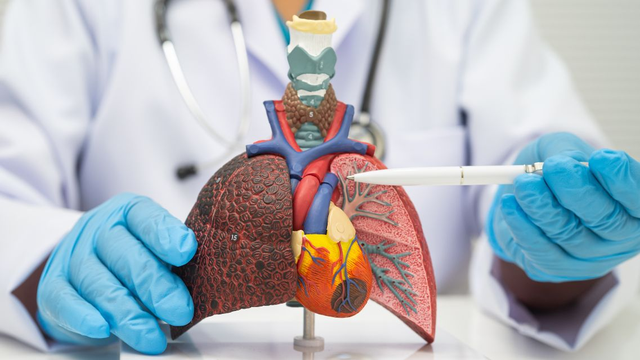 bai-viet/xo-gan-co-phai-la-ung-thu-gan-khong-nguy-co-tien-trien-the-nao.html