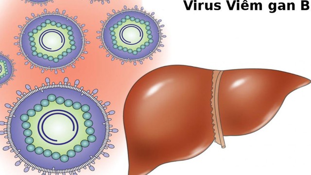 bai-viet/nguoi-bi-viem-gan-b-song-duoc-bao-lau.html