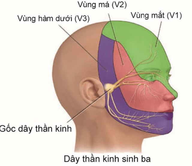 benh/dau-day-than-kinh-tam-thoa-11.html