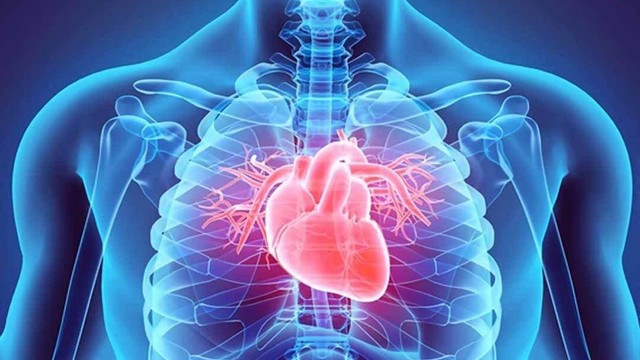 bai-viet/tim-hieu-cac-thuoc-dieu-tri-tang-huyet-ap.html