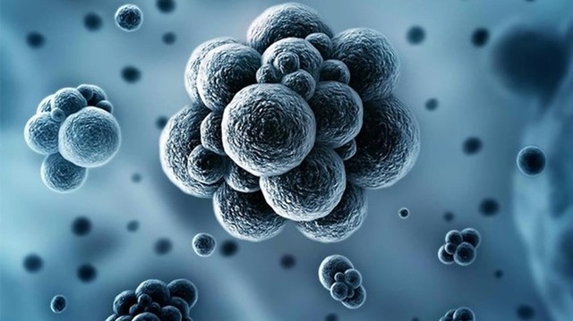 bai-viet/xet-nghiem-rpr-la-gi-tai-sao-can-lam-xet-nghiem-rpr.html