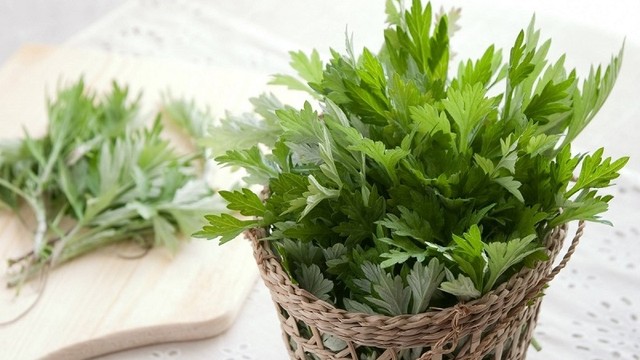 bai-viet/an-ngai-cuu-co-tac-dung-gi-mot-so-bai-thuoc-chua-benh-tu-ngai-cuu.html