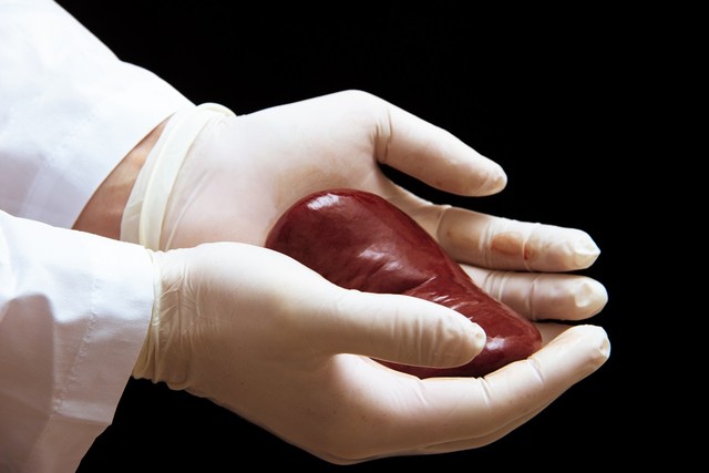 benh/ghep-than-353.html