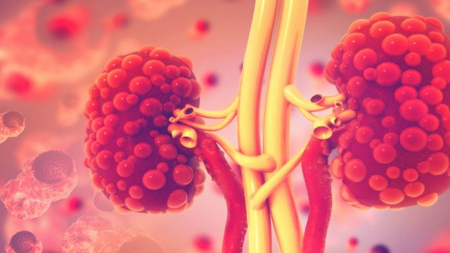 benh/than-da-nang-362.html