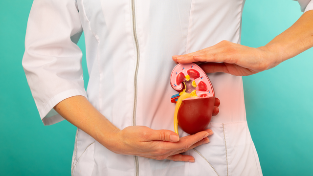 bai-viet/4-bo-phan-co-the-de-bi-ton-thuong-do-axit-uric-cao.html