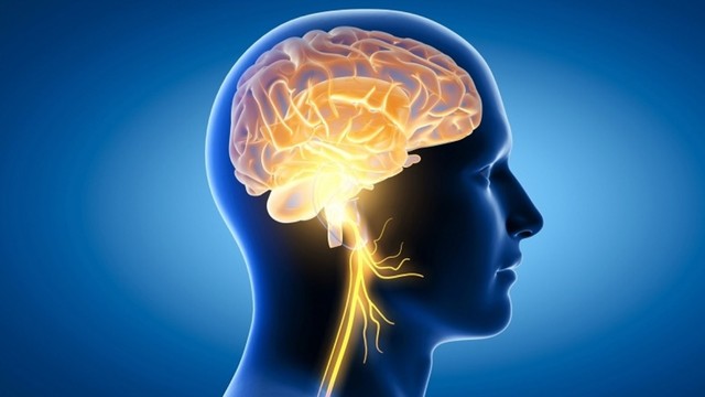 bai-viet/4-loai-vitamin-can-thiet-de-tang-cuong-chuc-nang-nao-bo.html