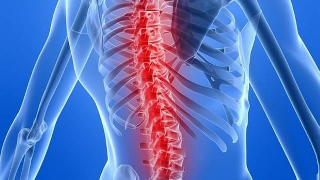 bai-viet/4-loai-thuc-pham-giau-canxi-giup-xuong-chac-khoe-tu-tuoi-40.html