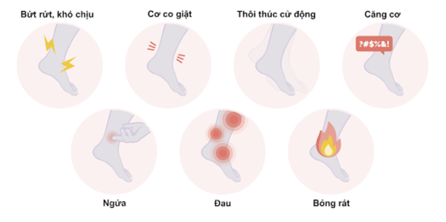 benh/hoi-chung-chan-khong-nghi-66.html