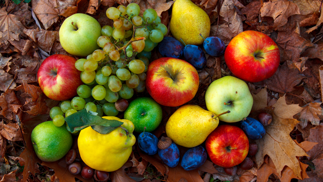 bai-viet/7-loai-qua-mua-thu-giup-thanh-loc-tu-nhien-duy-tri-voc-dang.html