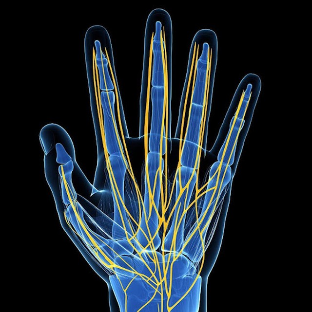 benh/dau-ngon-tay-804.html