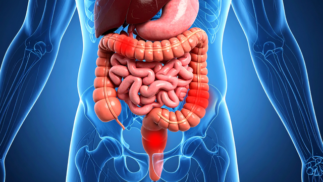 bai-viet/8-dau-hieu-ung-thu-dai-truc-trang-thuong-gap-va-cach-chan-doan-benh.html