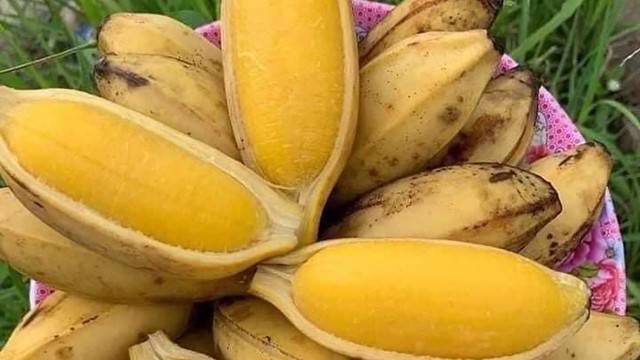 bai-viet/chuoi-sap-an-song-duoc-khong-an-chuoi-sap-luoc-co-tac-dung-gi.html