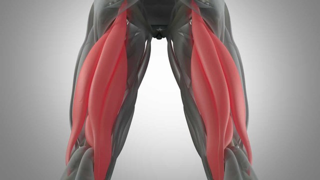 benh/chan-thuong-gan-kheo.html