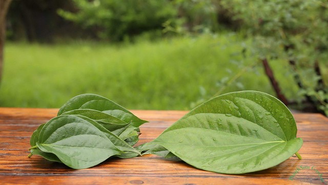 bai-viet/chua-viem-xoang-bang-la-trau-khong-co-hieu-qua-khong.html