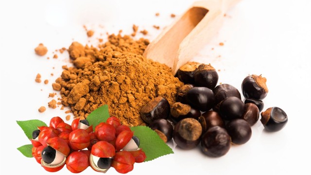 bai-viet/guarana-tea-loi-ich-va-tac-dung-phu-nguoi-dung-can-luu-y.html