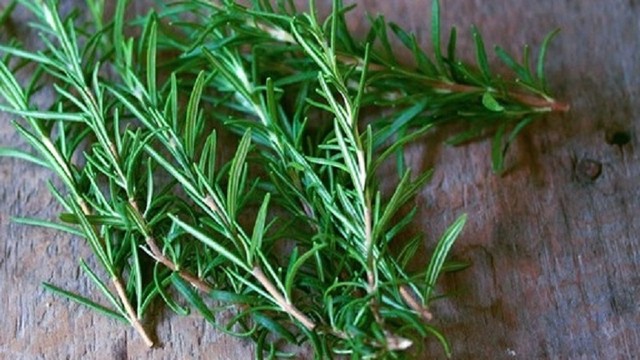 bai-viet/cach-su-dung-cay-huong-thao-duoi-hieu-qua.html