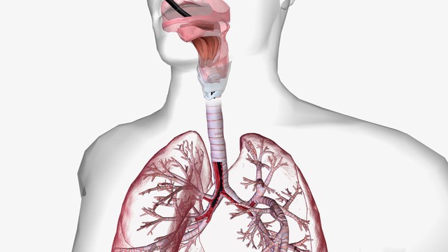 bai-viet/khi-nao-can-noi-soi-phe-quan-dau-hieu-co-ban-nhan-biet.html