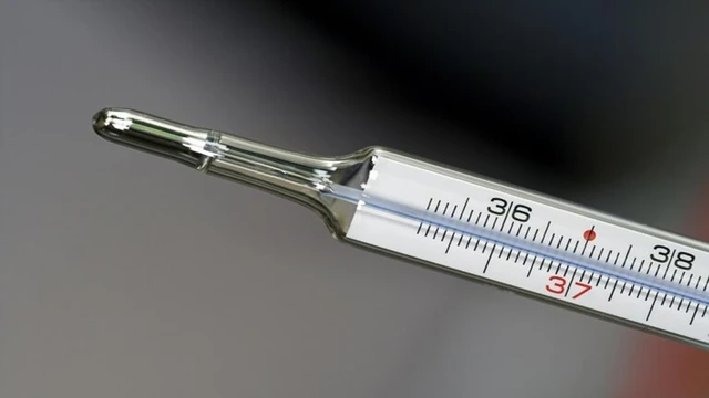 bai-viet/ngo-doc-thuy-ngan-o-nhiet-ke-co-nguy-hiem-khong.html